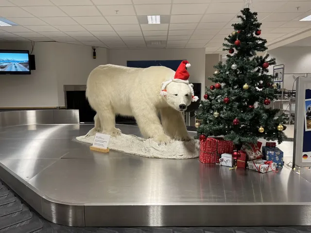 挪威｜12天11晚我還是過於適合做攻略了！