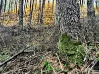 瀋陽周邊1.5h太極灣徒步!感受自然能量場