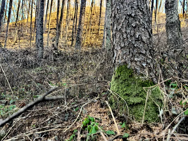 瀋陽周邊1.5h太極灣徒步!感受自然能量場 瀋陽周邊1.5h太極灣徒步!感受自然能量場
