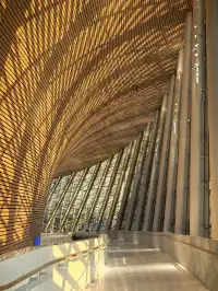 看瘋狂動物城偶遇福州最出片的電影院