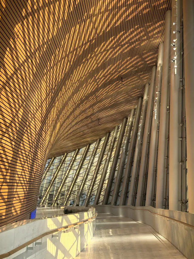 看瘋狂動物城偶遇福州最出片的電影院