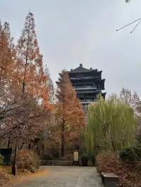 老舍：上帝把秋和冬全賜給了濟南