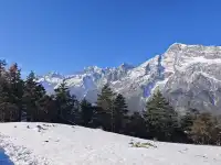 自駕玉龍雪山 牦牛坪藍月谷冰川公園攻略