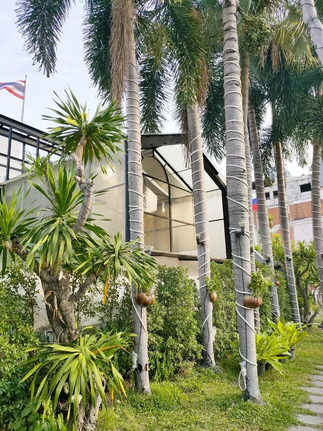 芭堤雅·尚泰附近好喝的咖啡