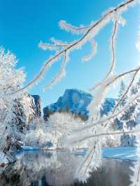 專車直達！舊金山定制包車自由行玩市區周邊