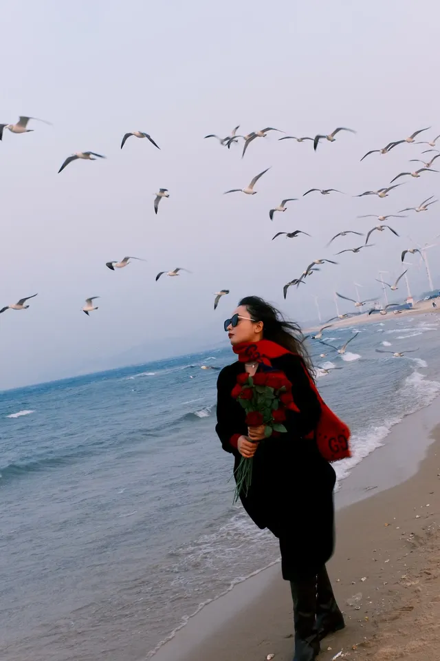 威海/布魯威斯沉船/ 是海風,是船,是浪漫 威海/布魯威斯沉船/ 是海風,是船,是浪漫