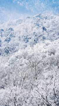 北京初雪刷屏南京紫金山霧淞已在路上!東北平替絕美暴擊