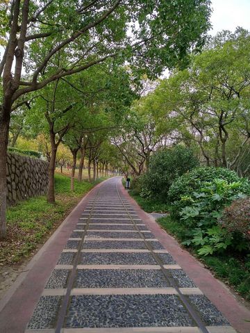 免費且24h開放!上海小眾江景公園,騎行觀鳥太絕了 免費且24h開放!上海小眾江景公園,騎行觀鳥太絕了