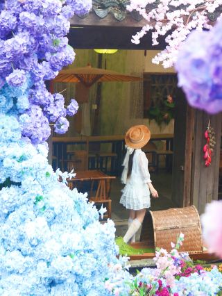 ความลึกลับของการถ่ายภาพในป่าไผ่ทางใต้ของทะเลสาบเทียนมู่ | คำถามมากมายเกิดขึ้นเมื่อโพสต์ลงโซเชียลมีเดีย