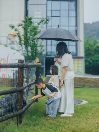 雨の日に冶父山の吉光片羽に来ると、かえって心地よく感じられました