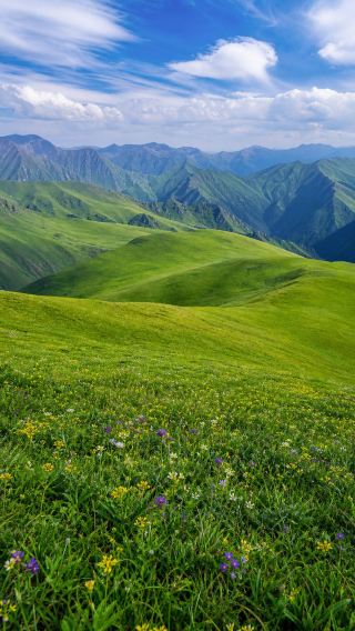 Summer on the Caichuan grassland, the wind rolls over the ridge