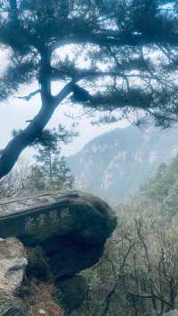 廬山驗榜報告｜不愧是必打卡榜上的神仙景點！