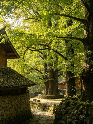 19°C natural air-conditioned room: A 3-day summer escape guide to Liupanshui
