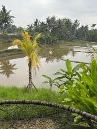 Exceptional Stay at Equipoise Resort