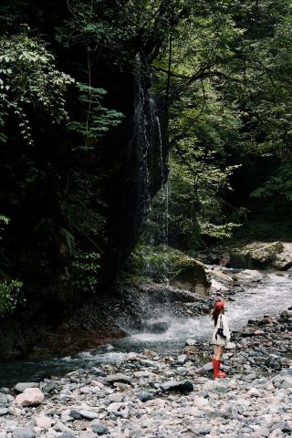 23°C의 숲속 계곡으로 숨어들기, 여름이 멈춘 것 같아