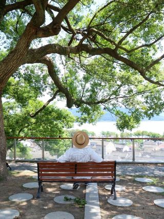 循著劇本來東錢湖，我過了一把主角癮🎬
