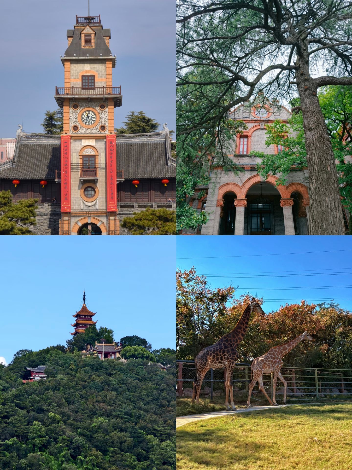 I almost skipped Nantong, but it's amazing!