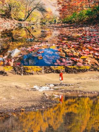 ใครจะรู้! ฤดูใบไม้ร่วงที่ภาคตะวันออกเฉียงเหนือของจีนสวยจึ้งมากแม่ 🍂