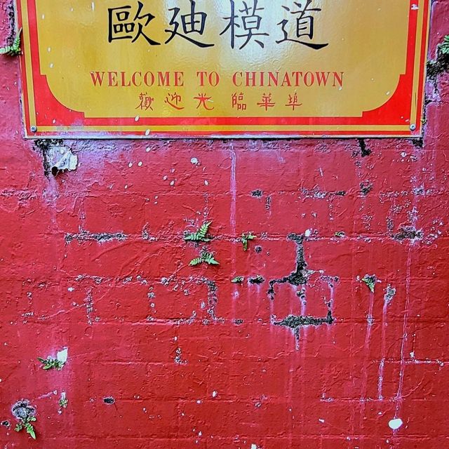 Lunar New Year @chinatown sydney