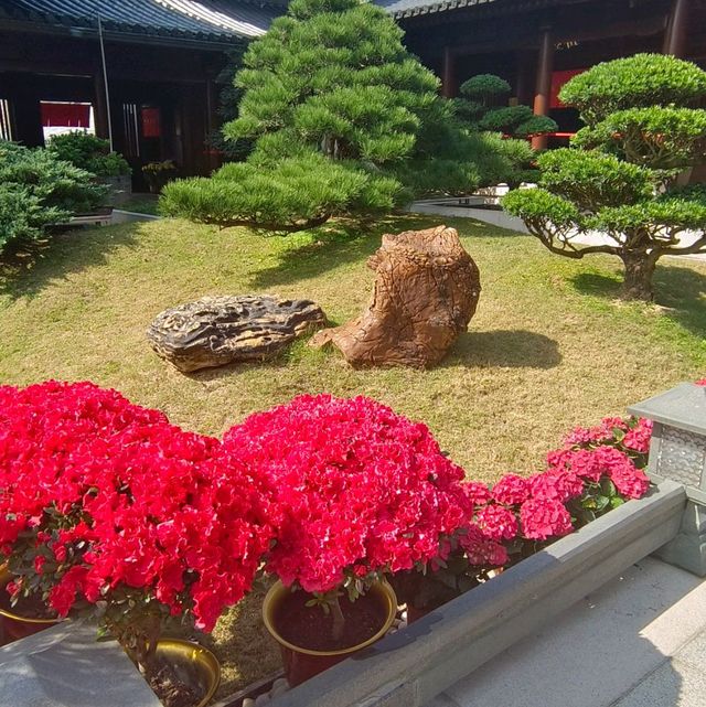 珍石展覽！大雄殿，觀音殿，藥師佛殿環立！氣象千字萬宙！