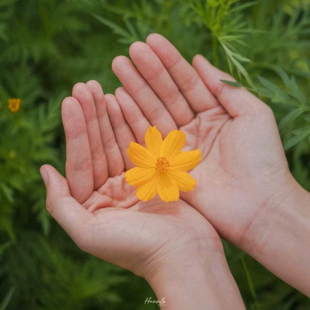 คาเฟ่สุดน่ารัก ท่ามกลางทุ่งดอกไม้ วิวภูเขา