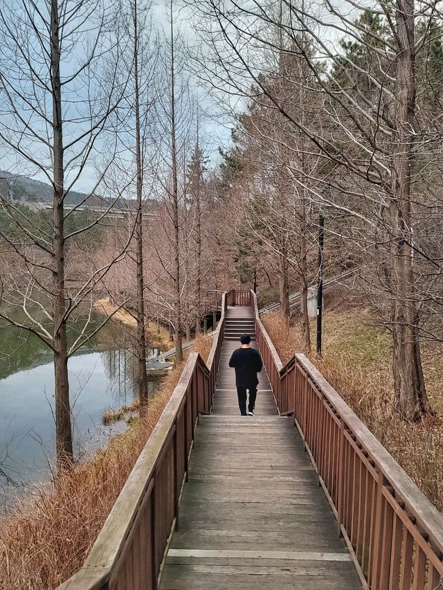 겨울에도 여전히 분위기 있는 용소웰빙공원🌳