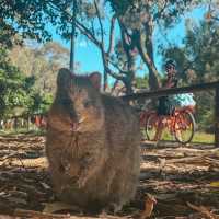 Rottnest Island Perth 