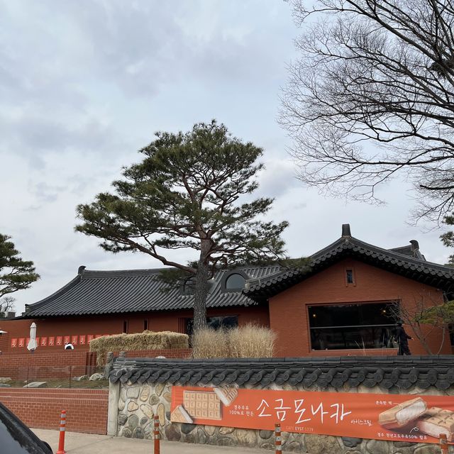 아름다운 한옥의 고장! 경주 🇰🇷✈️