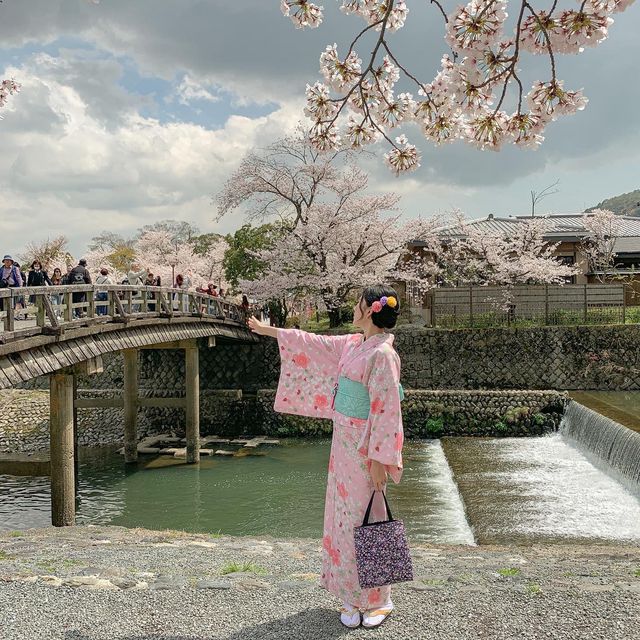 4월 초에 일본 교토에 가면 생기는 일 🌸