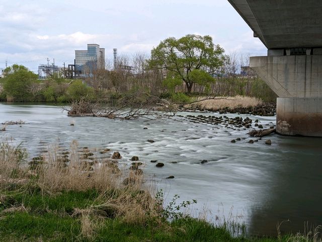 Otabashi Bridge: Tranquility Amidst Urban Vibrancy