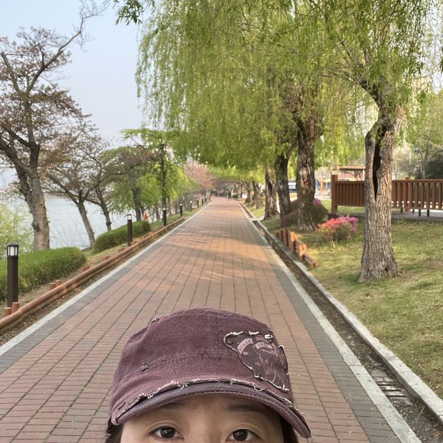 慶州景點-普門湖風景區