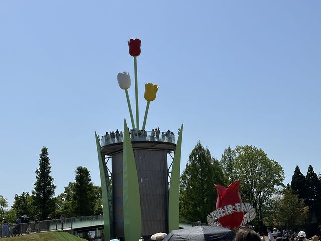 Japan Tulip Fair 