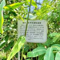 親子で体験しながら学ぼう！バナナワニ園
