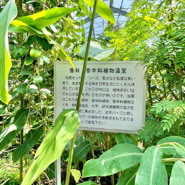 親子で体験しながら学ぼう！バナナワニ園