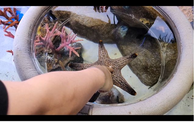 地點屈機既水族館|曼谷暹羅海洋世界