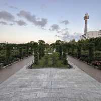 【横浜】夕方みなとみらい散歩・山下公園を散策