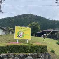 【ペットと泊まれる宿】松阪わんわんパラダイスで過ごす休日！