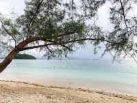 🇲🇾馬來西亞沙巴☀️❤️‍🔥Tunku Abdul Rahman Marine Park (東姑阿都拉曼國家公園)