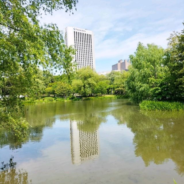 初夏的札幌“中島公園”