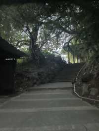 陽明山｜大屯瀑布區步道