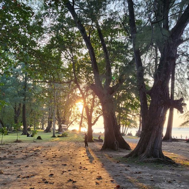 อุทยานแห่งชาติสิรินาถ