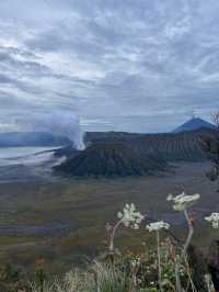 📍印尼背包客之旅 -《婆羅摩火山攻略》