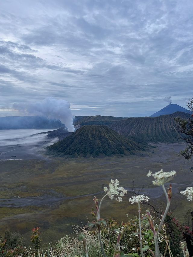 📍印尼背包客之旅 -《婆羅摩火山攻略》