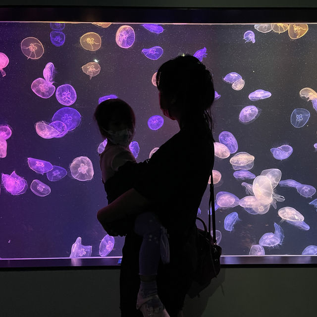 海洋主題兒童樂園🎉！欣賞水族館