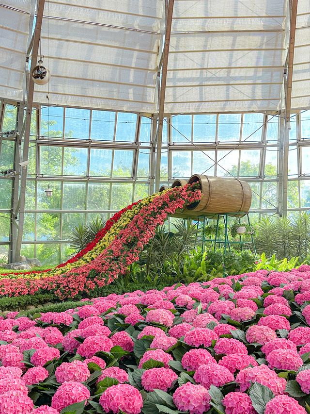 빈원더스 나트랑 꿀팁 : 식물원에서 쉬어가기🌺🌬️