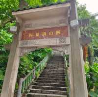 台北-爬劍潭山去囉🌿圓山風景區（健康森林步道）