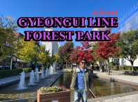 ใบไม้เปลี่ยนสีที่ GYEONGUI LINE FOREST PARK