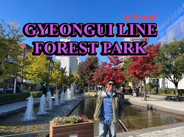 ใบไม้เปลี่ยนสีที่ GYEONGUI LINE FOREST PARK