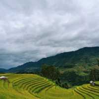 Vành Móng Ngựa Terraced Rice Fields