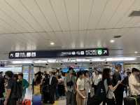 北海道から愛知へ JALでひとっ飛び!快適空の旅